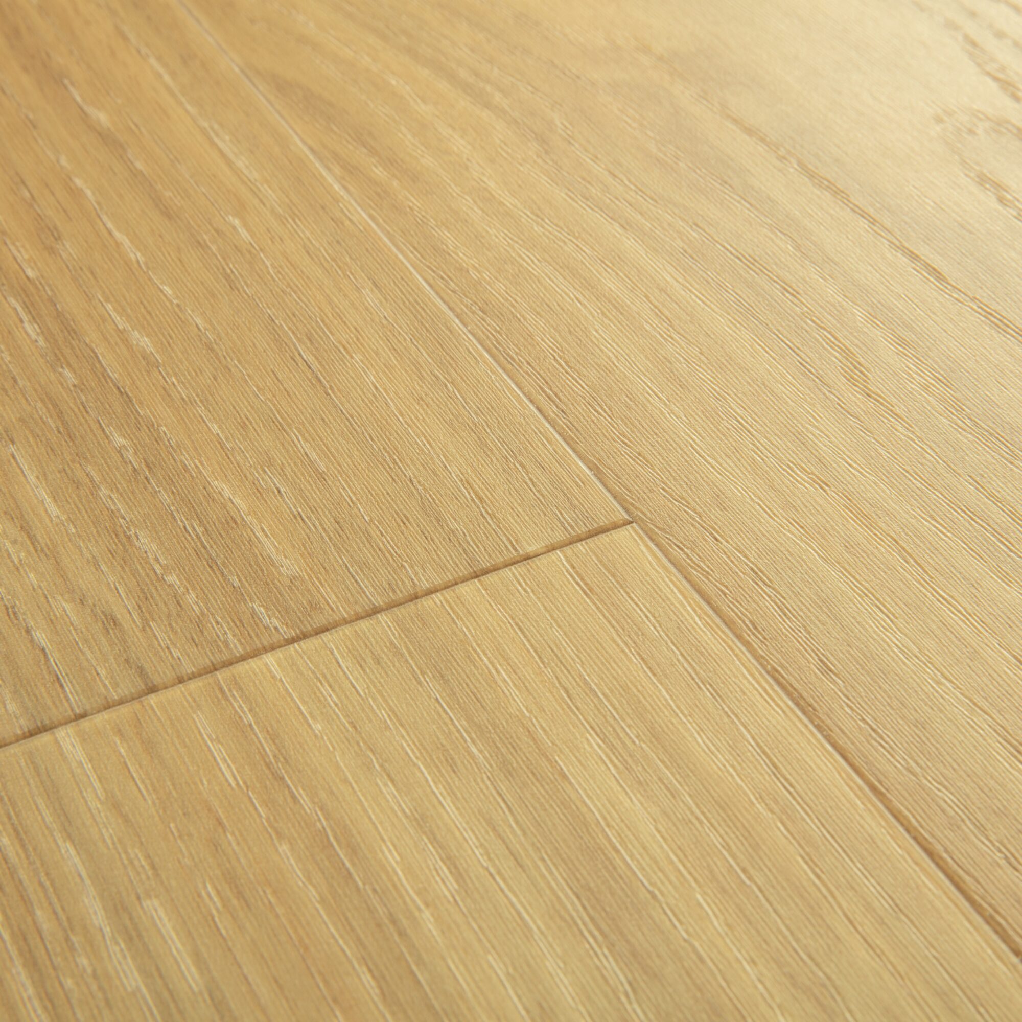 Alpha Vinyl Bloom Pure Oak Light - Image 3