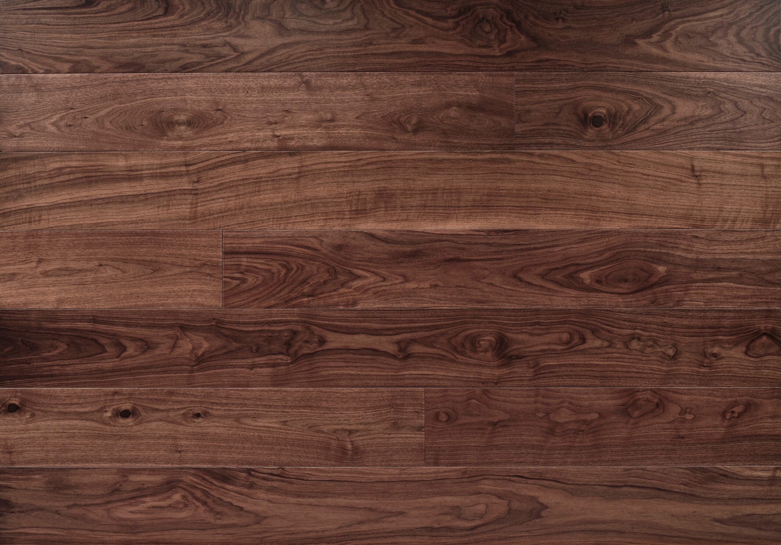 American Black Walnut
