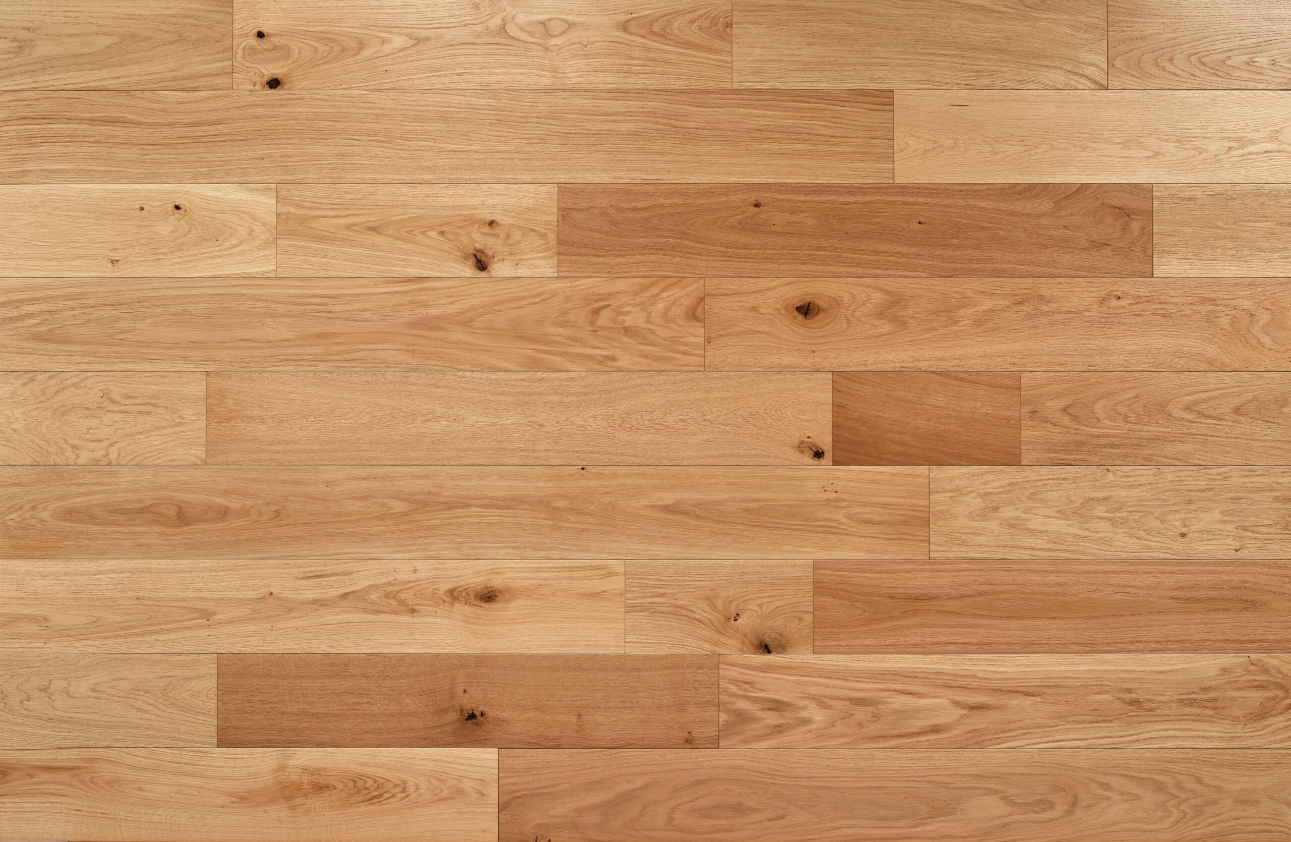 Forest Oak