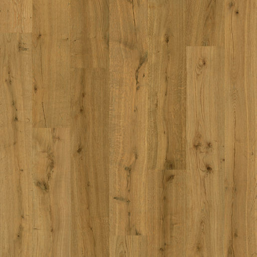 Impressive Truffle Oak