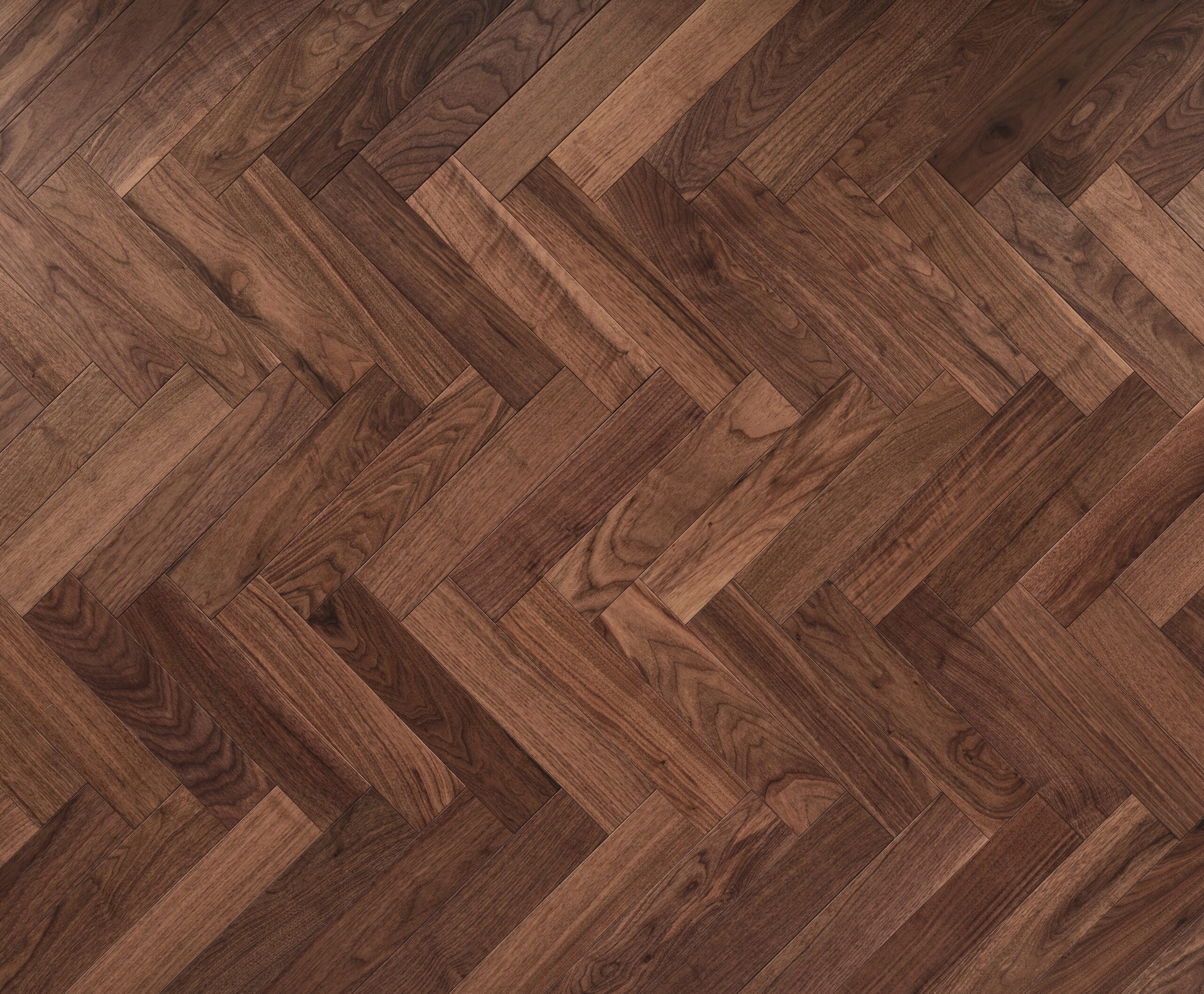 American Black Walnut